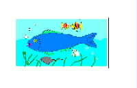 Company Profle & Sales / Support Offices around Pacific Islands